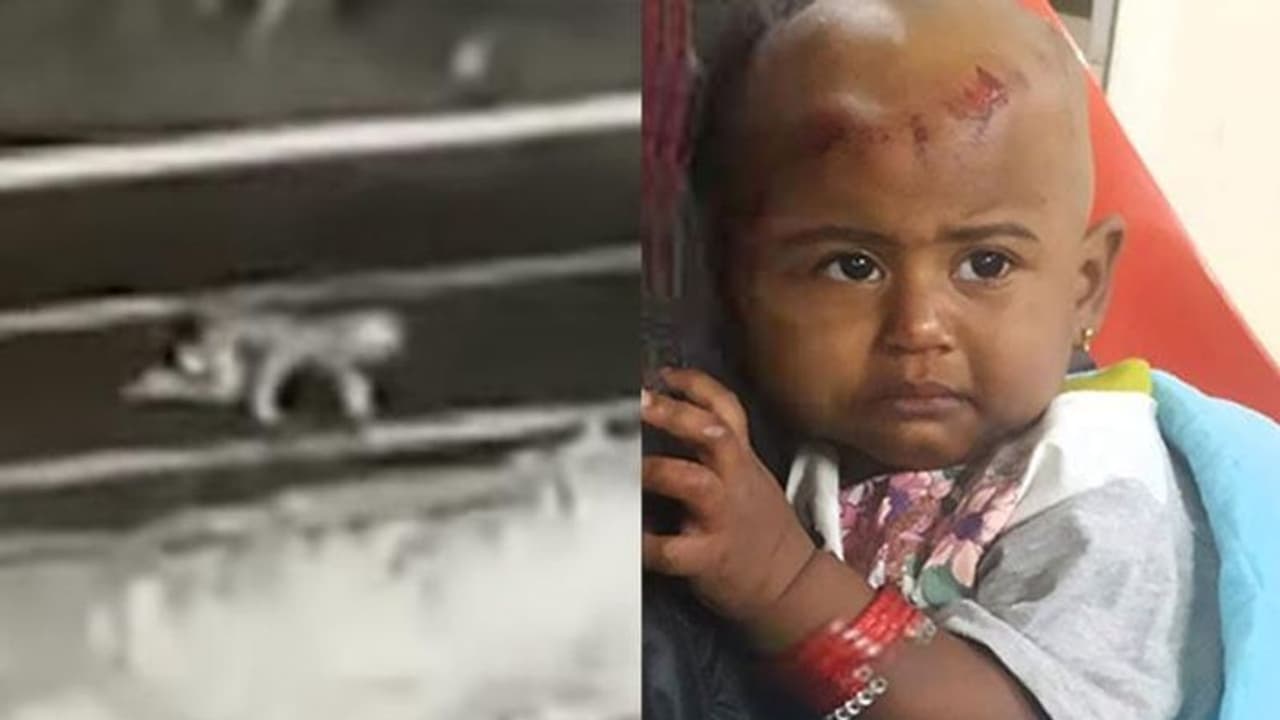 கேரளாவில் பயங்கர சம்பவம்... காட்டில் இரவில் ஜீப்பிலிருந்து தவறி விழுந்த குழந்தை.. குழந்தை இல்லாமல் 45 கி.மீ. தூரம் சென்ற தாய்! கேரளாவில் பயங்கர சம்பவம்... காட்டில் இரவில் ஜீப்பிலிருந்து தவறி விழுந்த குழந்தை.. குழந்தை இல்லாமல் 45 கி.மீ. தூரம் சென்ற தாய்!