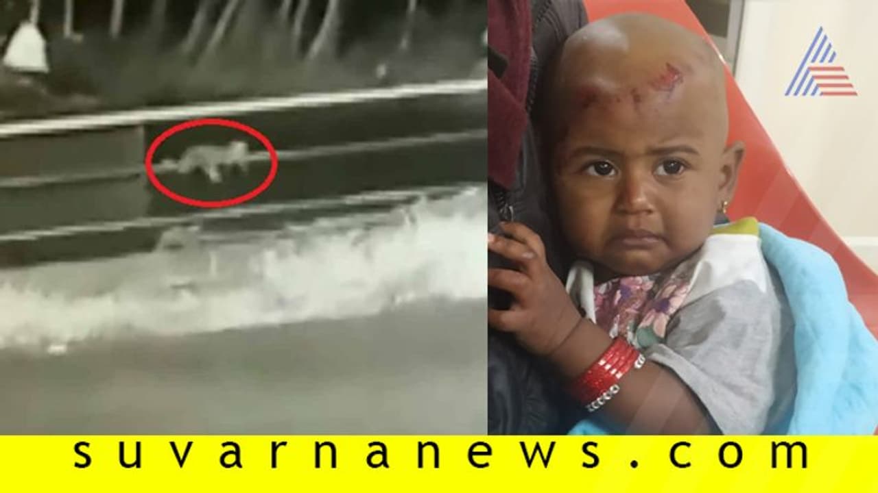 ದಟ್ಟಾರಣ್ಯದಲ್ಲಿ ಜೀಪಿಂದ ಬಿದ್ದರೂ ಅಂಬೆಗಾಲಿಟ್ಟು ಬಂದ ಮಗು! ದಟ್ಟಾರಣ್ಯದಲ್ಲಿ ಜೀಪಿಂದ ಬಿದ್ದರೂ ಅಂಬೆಗಾಲಿಟ್ಟು ಬಂದ ಮಗು!