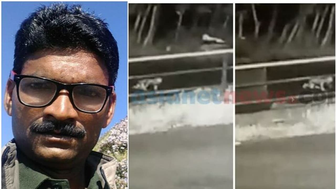 ജീപ്പില് നിന്ന് തെറിച്ച് കാട്ടിനുള്ളില് വീണുപോയ കുട്ടിക്ക് രക്ഷയാത് ഈ മനുഷ്യര് ജീപ്പില് നിന്ന് തെറിച്ച് കാട്ടിനുള്ളില് വീണുപോയ കുട്ടിക്ക് രക്ഷയാത് ഈ മനുഷ്യര്