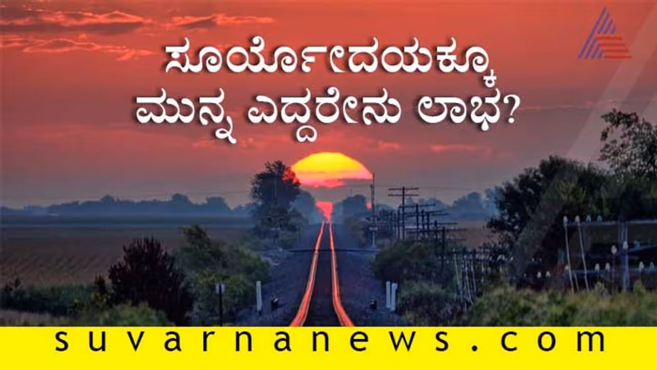 ಸೂರ್ಯೋದಯಕ್ಕೂ ಮುನ್ನ ಎದ್ದರೇನು ಲಾಭ? ಸೂರ್ಯೋದಯಕ್ಕೂ ಮುನ್ನ ಎದ್ದರೇನು ಲಾಭ?