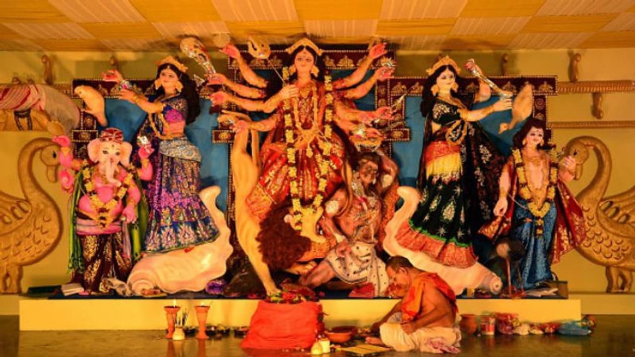 পিপীলিকার সঙ্গে একবার ঘুরেই আসবেন নাকি তাদের দেশে!হরিহর নগর ওয়েলফেয়ার সমিতিতে থাকছে নতুন চমক পিপীলিকার সঙ্গে একবার ঘুরেই আসবেন নাকি তাদের দেশে!হরিহর নগর ওয়েলফেয়ার সমিতিতে থাকছে নতুন চমক