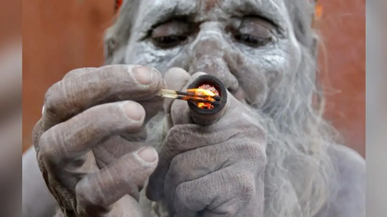 भारत के इस राज्य में रहते हैं सबसे ज्यादा गंजेड़ी, फूंक गए इतने करोड़ का गांजा भारत के इस राज्य में रहते हैं सबसे ज्यादा गंजेड़ी, फूंक गए इतने करोड़ का गांजा