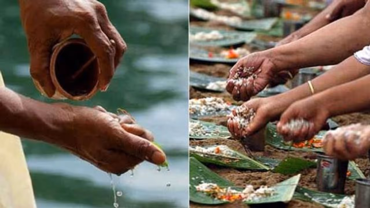 Pitru paksha 2019 श्राद्ध में ब्राह्मण को दान करें ये 10 चीजें, मिलेंगे हजारों लाभ Pitru paksha 2019 श्राद्ध में ब्राह्मण को दान करें ये 10 चीजें, मिलेंगे हजारों लाभ