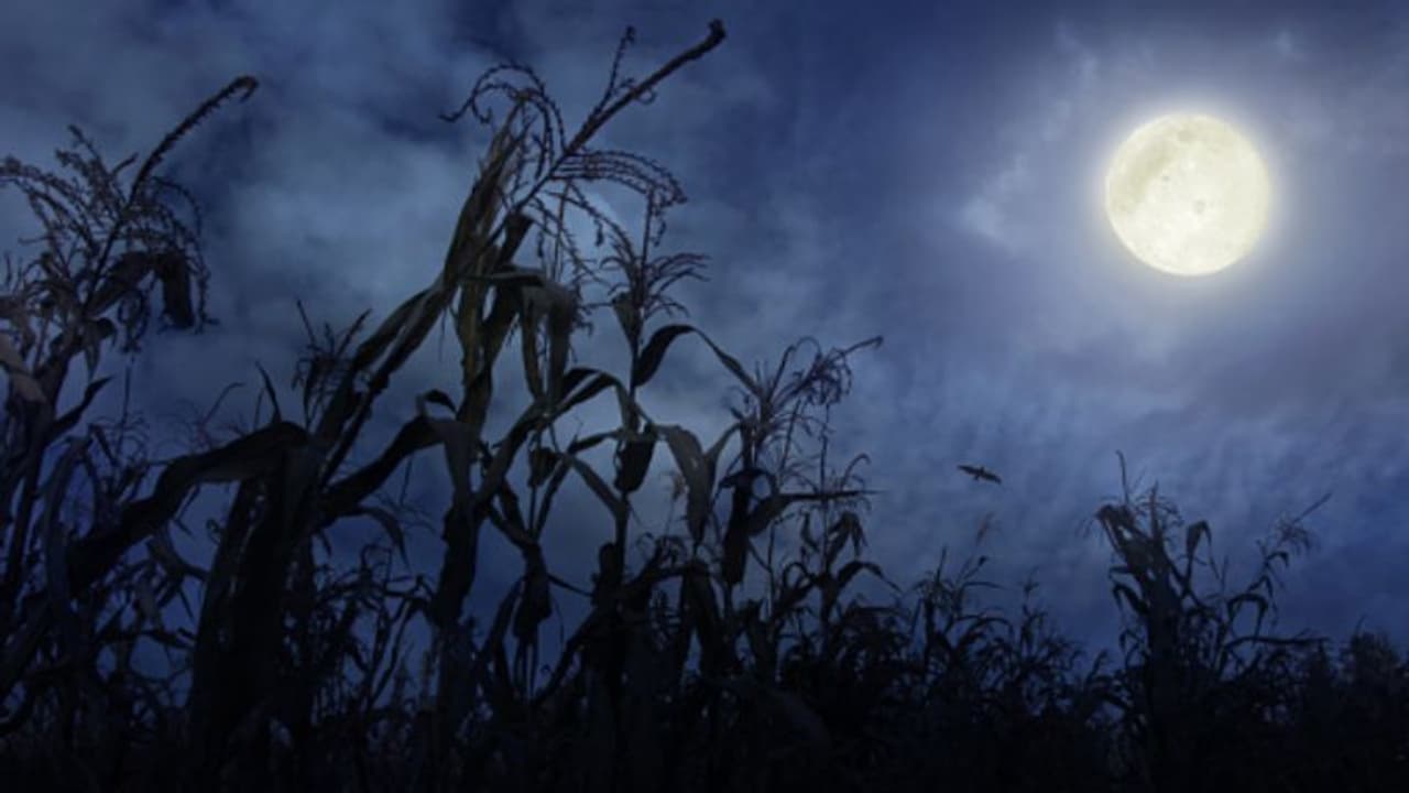 'ফ্রাইডে দ্য থার্টিন্থ' এ দেখা যাবে ক্ষুদ্রতম চাঁদ 'ফ্রাইডে দ্য থার্টিন্থ' এ দেখা যাবে ক্ষুদ্রতম চাঁদ