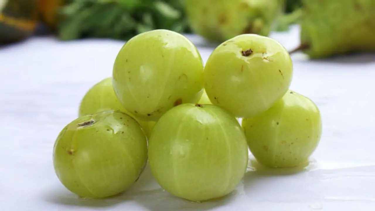 ఆరోగ్య సంబంధం ఉసిరి