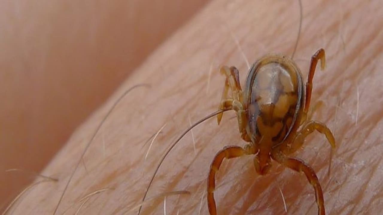 कमलनाथ सरकार ने ली पड़ोसियों की गलती से सीख, जारी किया अलर्ट