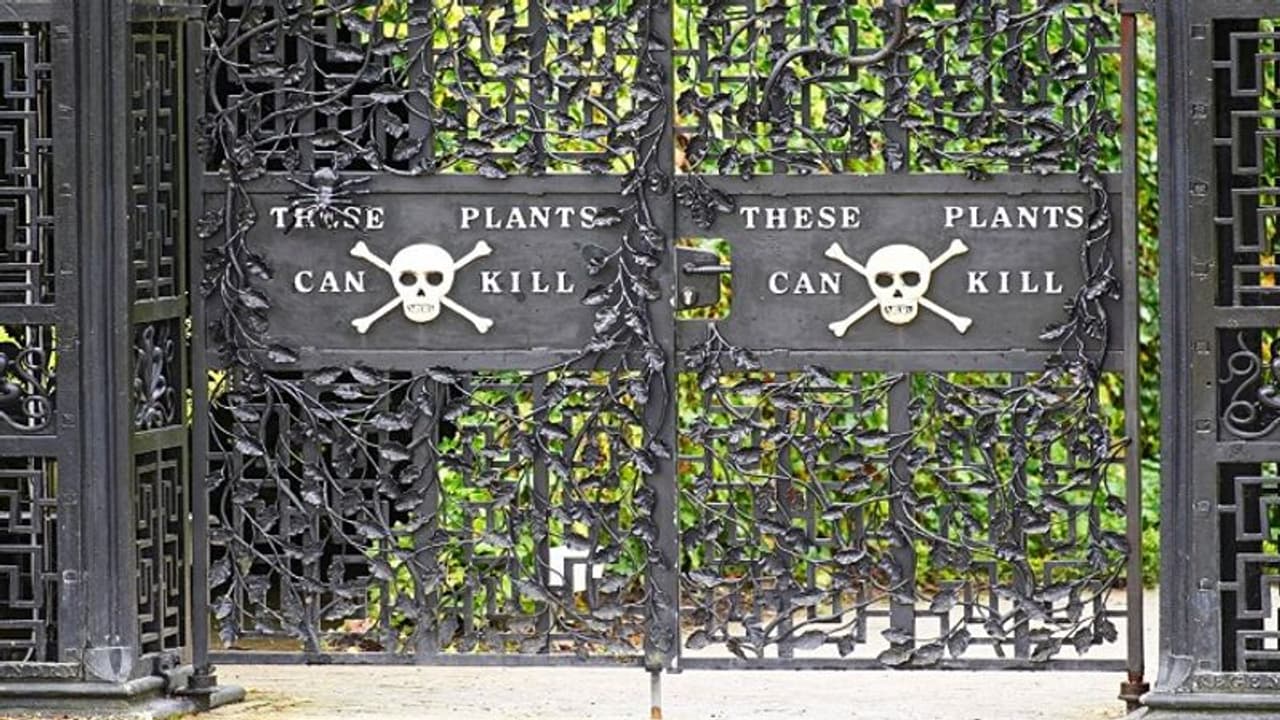 തൊട്ടാൽ മരിക്കും, നടക്കുന്നത് പോലും ശ്രദ്ധിച്ച്, കാത്തിരിക്കുന്നത് മരണം, ലോകത്തിലെ ഏറ്റവും വിഷമുള്ള തോട്ടമിത്