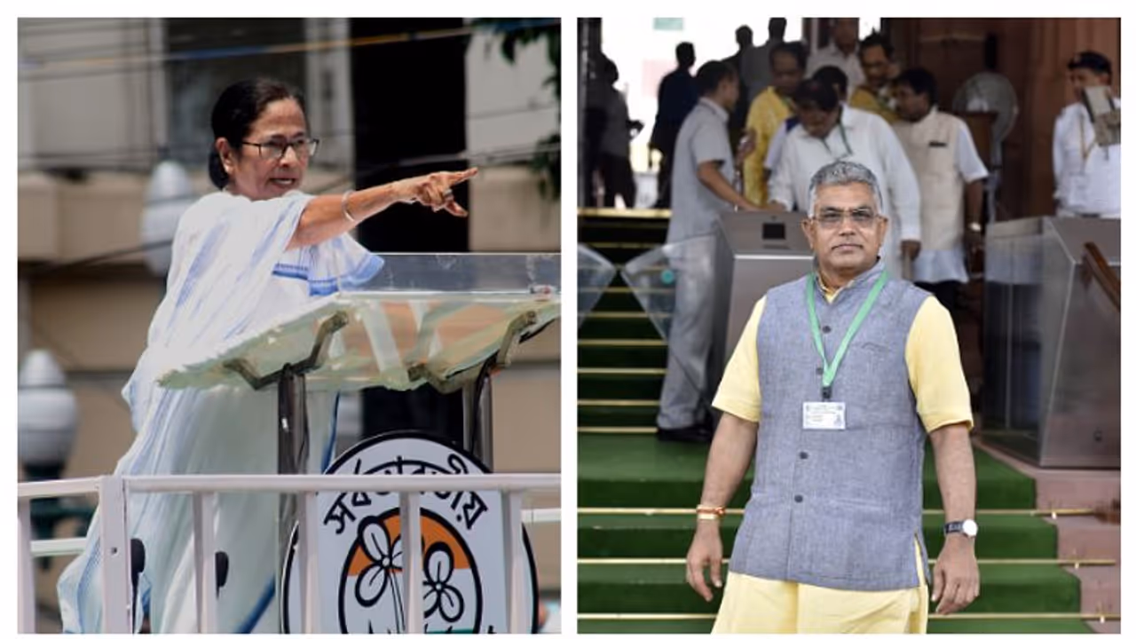 লকডাউনে রাস্তায় কেন দিদি, 'ভাইরা কী শিখবেন' প্রশ্ন দিলীপের