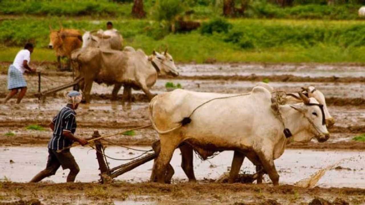 ರೈತರಿಗೆ ಗುಡ್ ನ್ಯೂಸ್ : ತಿಂಗಳಿಗೆ 3 ಸಾವಿರ ಪಿಂಚಣಿ ರೈತರಿಗೆ ಗುಡ್ ನ್ಯೂಸ್ : ತಿಂಗಳಿಗೆ 3 ಸಾವಿರ ಪಿಂಚಣಿ