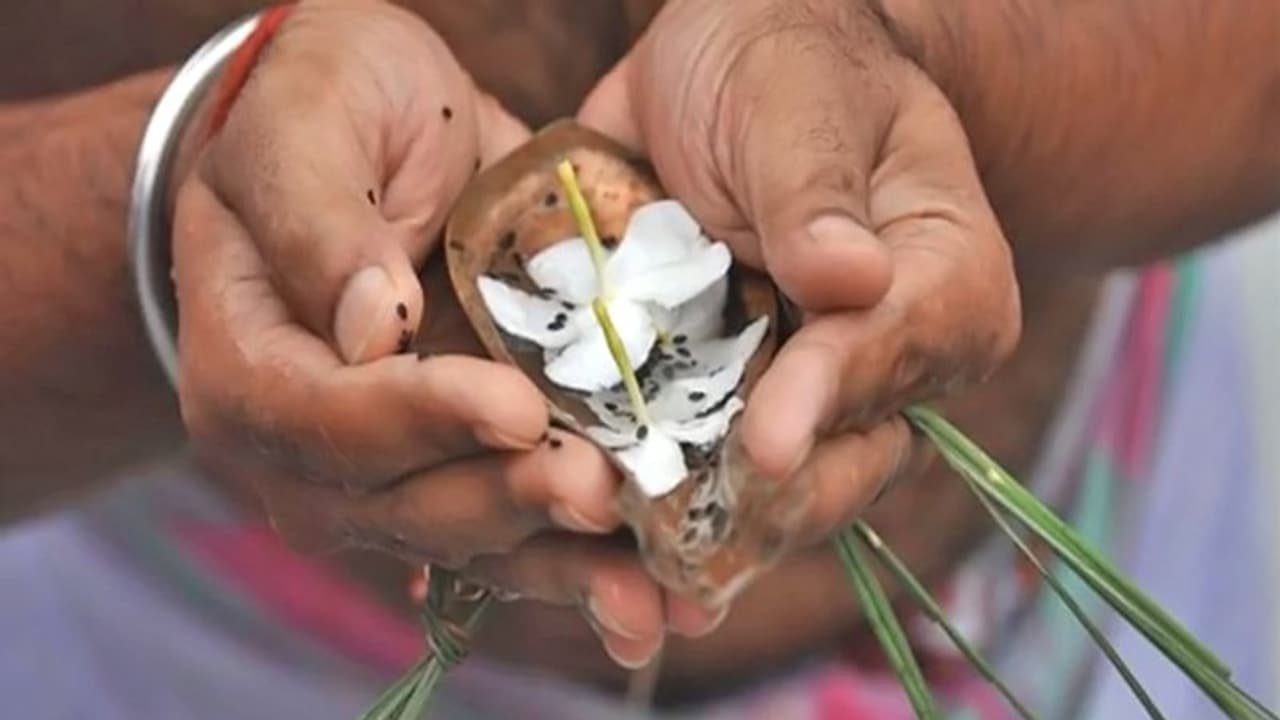 पितृ पक्ष: बेटा न हो तो कौन कर सकता है श्राद्ध? पितृ पक्ष: बेटा न हो तो कौन कर सकता है श्राद्ध?