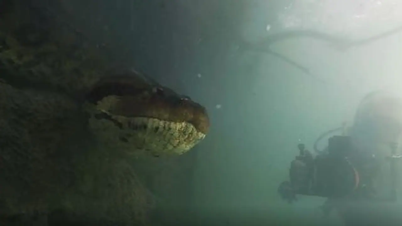 Bartolomeo Bove with Green Anaconda