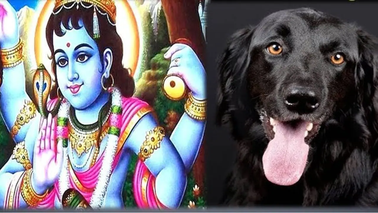 भैरव का प्रतीक कुत्ता भी है शिव का गण, जानिए कैसे मिला उसे यह स्थान