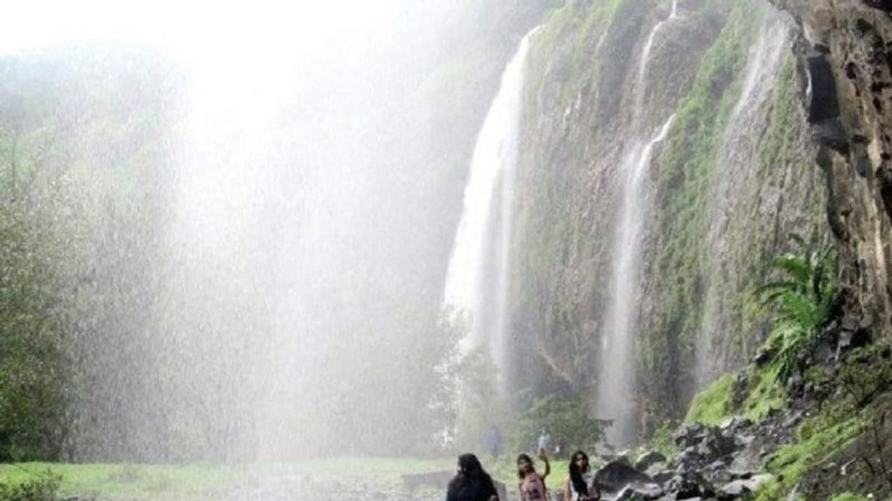 ಮಳೆ, ಮಂಜು, ಹಸಿರು ಮತ್ತು ಜಲಲ ಜಲಧಾರೆ! ಮಳೆ, ಮಂಜು, ಹಸಿರು ಮತ್ತು ಜಲಲ ಜಲಧಾರೆ!