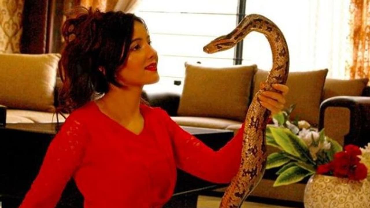 সাপ বম্ব নিয়ে মোদীকে হুমকি, তারপরই অনলাইনে নগ্নছবি ভাইরাল পাক গায়িকার সাপ বম্ব নিয়ে মোদীকে হুমকি, তারপরই অনলাইনে নগ্নছবি ভাইরাল পাক গায়িকার