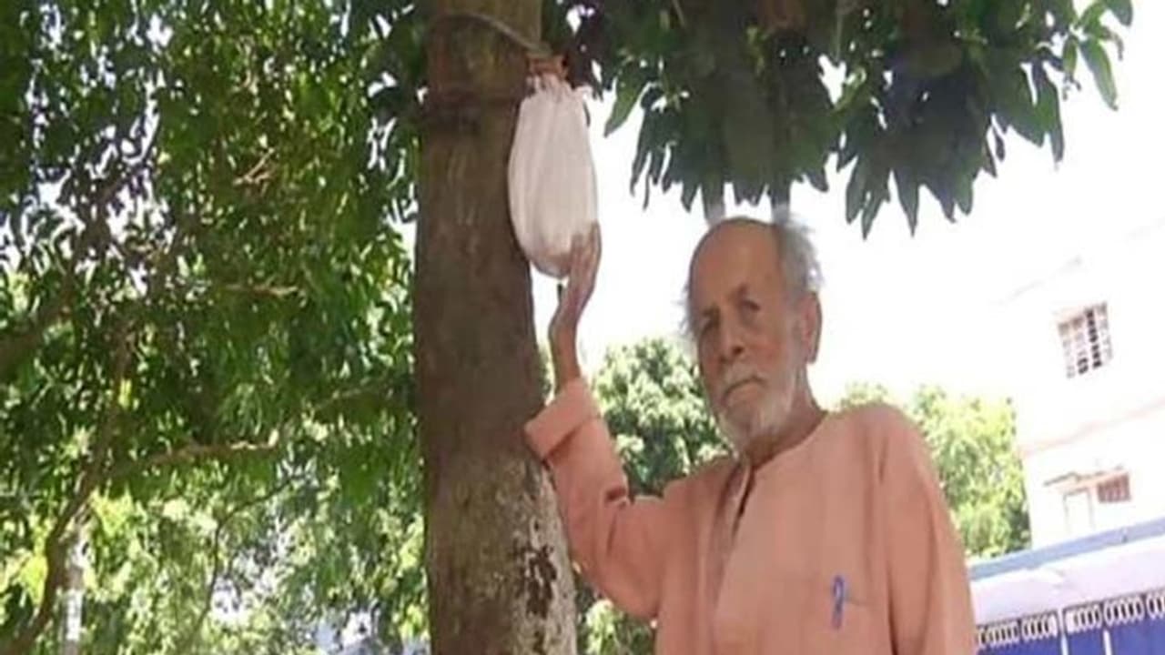 27 साल से आम के पेड़ पर लटकी है अस्थियां 27 साल से आम के पेड़ पर लटकी है अस्थियां