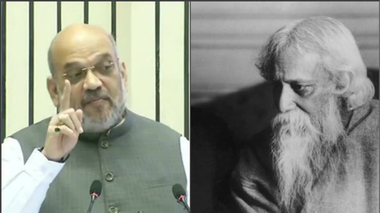 এক দেশ এক ভাষা, রবীন্দ্রনাথের পরামর্শও অবজ্ঞা করছে বিজেপি সরকার