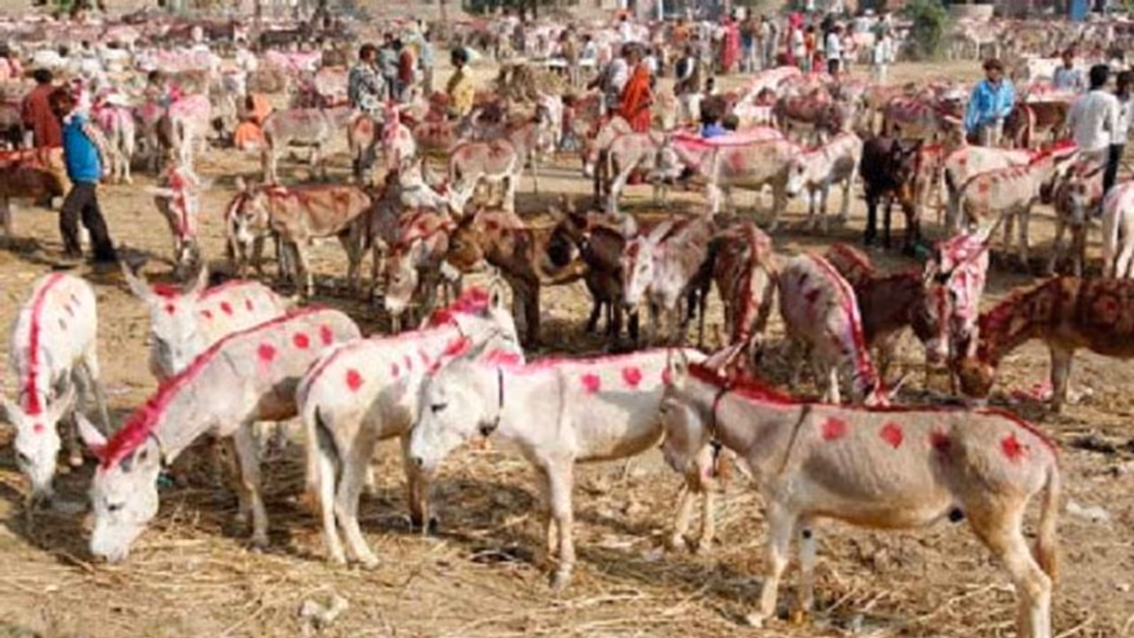 पाकिस्तान में लगा AK 47, F16, Atom Bomb का मेला, असलियत जान हंस देंगे आप पाकिस्तान में लगा AK 47, F16, Atom Bomb का मेला, असलियत जान हंस देंगे आप