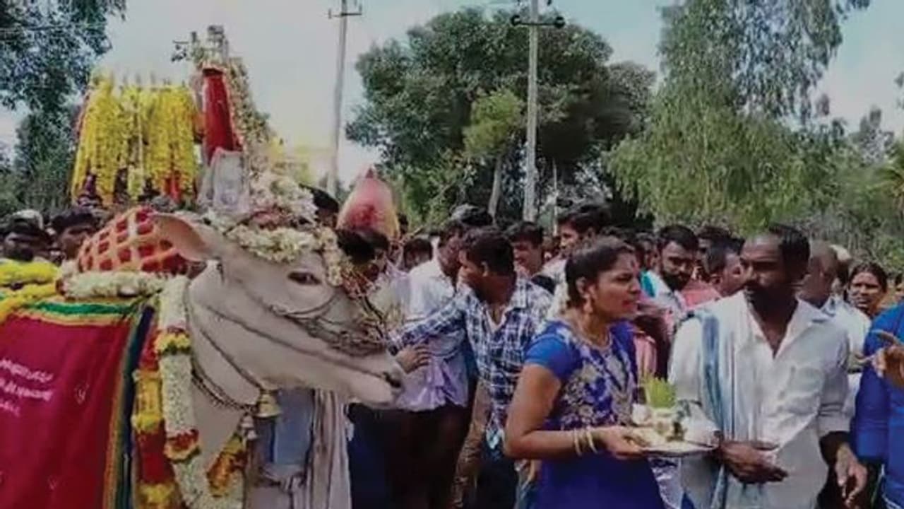 ಮಂಡ್ಯ : ಚಿಕ್ಕರಸಿನಕೆರೆ ಗ್ರಾಮದಲ್ಲಿ ನಡೆಯಿತೊಂದು ಪವಾಡ ಮಂಡ್ಯ : ಚಿಕ್ಕರಸಿನಕೆರೆ ಗ್ರಾಮದಲ್ಲಿ ನಡೆಯಿತೊಂದು ಪವಾಡ