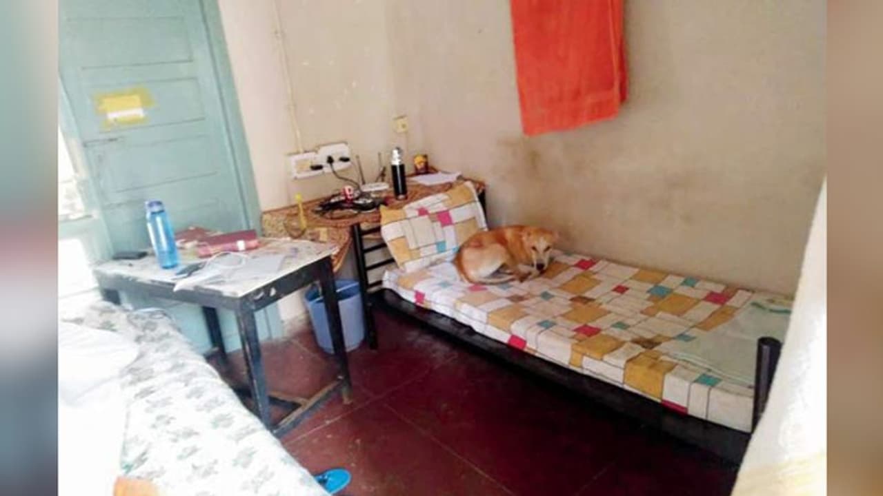 శుభవార్త: 'హైద్రాబాద్లో ప్రైవేట్ హాస్టల్స్ తెరిచే ఉంటాయి' శుభవార్త: 'హైద్రాబాద్లో ప్రైవేట్ హాస్టల్స్ తెరిచే ఉంటాయి'