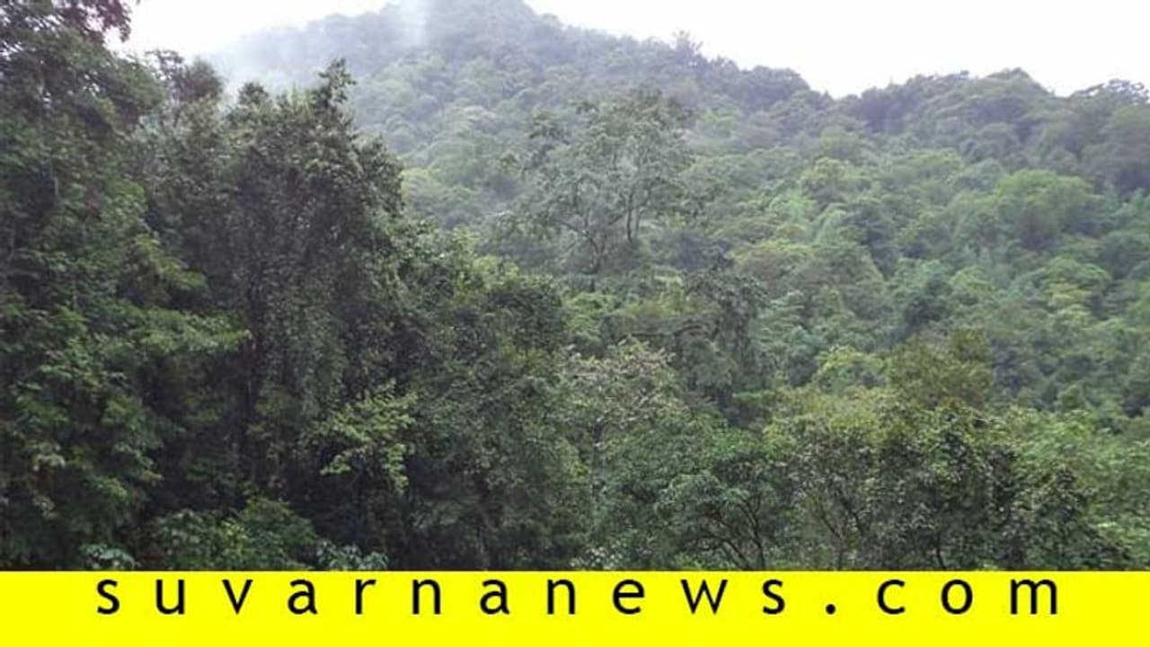13 ಲಕ್ಷ ಹೆಕ್ಟೇರ್‌ ಅರಣ್ಯ ಭೂಮಿ ಒತ್ತುವರಿ, ಕರ್ನಾಟಕ ನಂ.7!