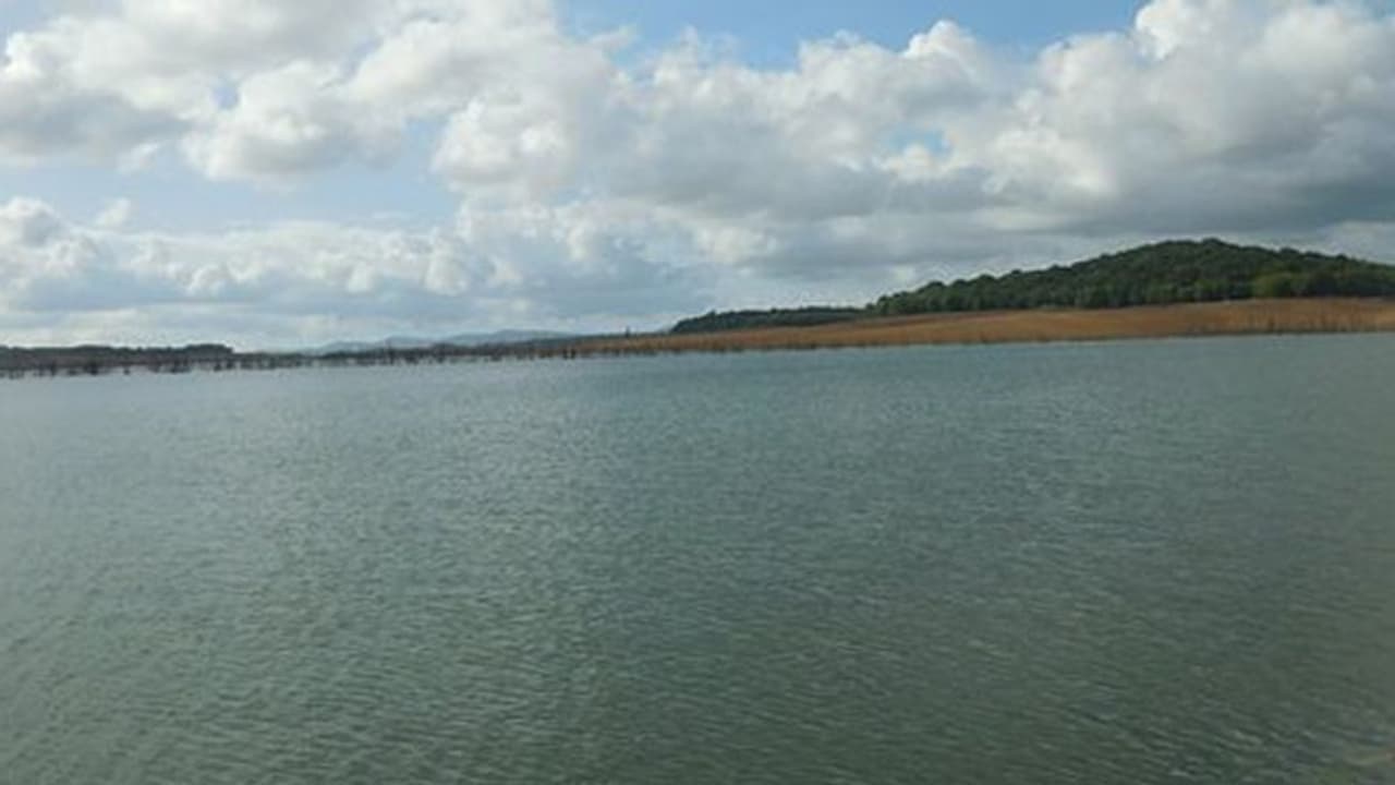 ಸಿಗಂದೂರು ಸೇತುವೆ : ಪ್ರವಾಸಿತಾಣದ ಮೆರಗು