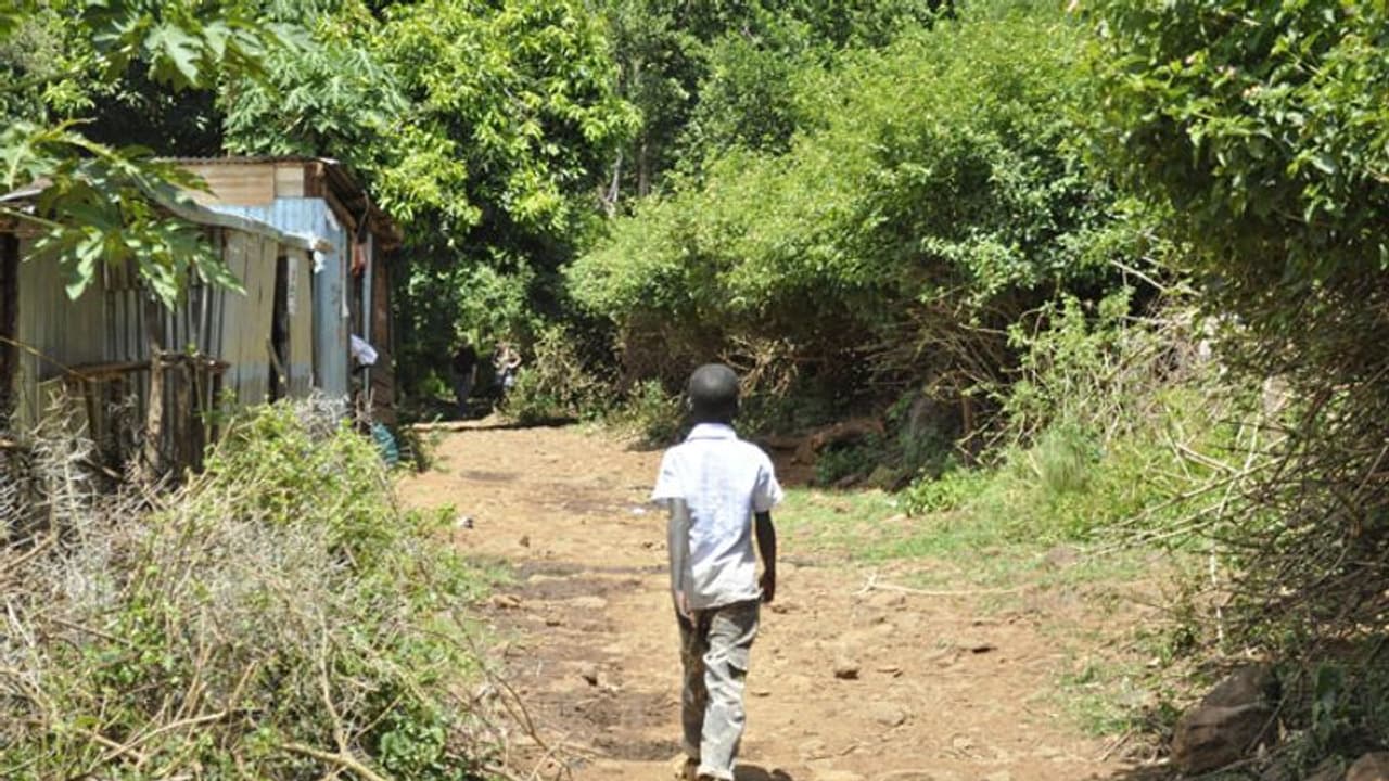 കണ്മുന്നില് അച്ഛനെ വെട്ടിക്കൊന്നു, അക്രമം ഭയന്ന് സഹോദരങ്ങള് കാട്ടിലൂടെ നടന്നത് 241 കിലോമീറ്റര്... കണ്മുന്നില് അച്ഛനെ വെട്ടിക്കൊന്നു, അക്രമം ഭയന്ന് സഹോദരങ്ങള് കാട്ടിലൂടെ നടന്നത് 241 കിലോമീറ്റര്...