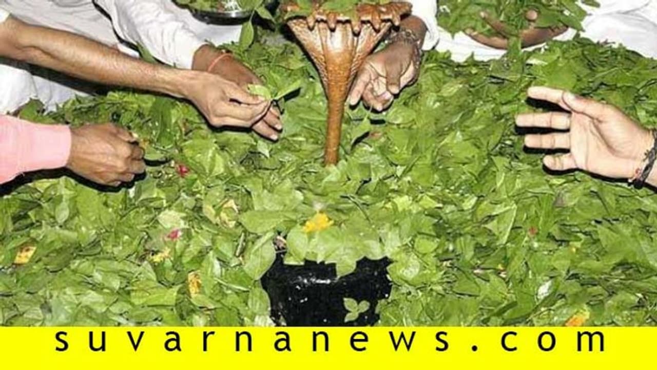ಶಿವನಿಗೆ ಬಿಲ್ವ ಪತ್ರೆ ಪೂಜೆ ಯಾಕೆ? ಶಿವನಿಗೆ ಬಿಲ್ವ ಪತ್ರೆ ಪೂಜೆ ಯಾಕೆ?