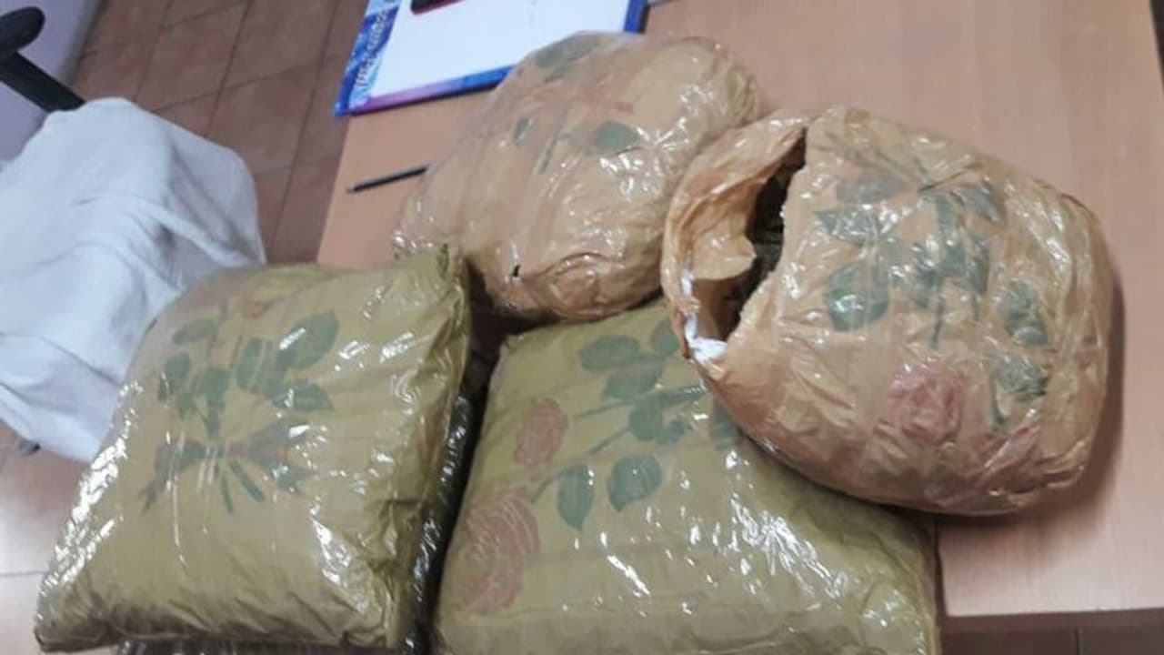 തൃശ്ശൂരിൽ വീട്ടുമുറ്റത്ത് കുഴിച്ചിട്ട 28 കിലോ കഞ്ചാവ് പൊലീസ് പിടികൂടി തൃശ്ശൂരിൽ വീട്ടുമുറ്റത്ത് കുഴിച്ചിട്ട 28 കിലോ കഞ്ചാവ് പൊലീസ് പിടികൂടി