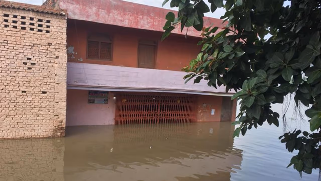 लगातार हो रही बारिश से यूपी में बाढ़ जैसे हालात, प्रयागराज के स्कूलों में 3 दिन की छुट्टी घोषित लगातार हो रही बारिश से यूपी में बाढ़ जैसे हालात, प्रयागराज के स्कूलों में 3 दिन की छुट्टी घोषित
