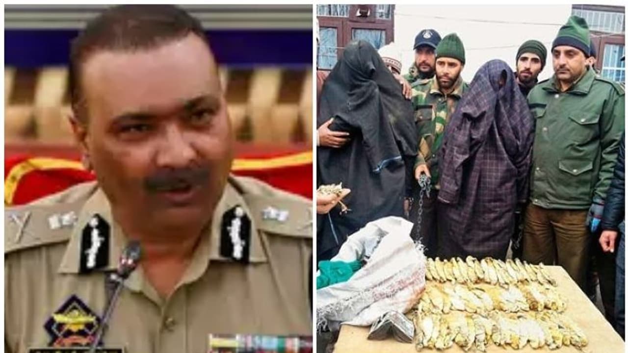 പാകിസ്താനിൽ നിന്ന് വരുന്ന മയക്കുമരുന്നാണ് താഴ്വരയിലെ തീവ്രവാദത്തിന്റെ ഫണ്ടിങ്ങ്; ജമ്മു കശ്മീർ ഡിജിപി പാകിസ്താനിൽ നിന്ന് വരുന്ന മയക്കുമരുന്നാണ് താഴ്വരയിലെ തീവ്രവാദത്തിന്റെ ഫണ്ടിങ്ങ്; ജമ്മു കശ്മീർ ഡിജിപി