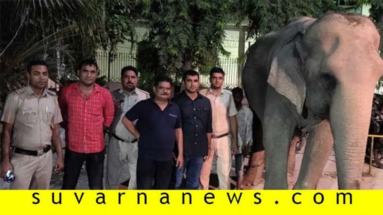 ದೆಹಲಿಯಲ್ಲಿ ಕಾಣೆಯಾಗಿದ್ದ 'ಲಕ್ಷ್ಮೀ' 2 ತಿಂಗಳ ಬಳಿಕ ಪತ್ತೆ, ಮಾವುತ ಅರೆಸ್ಟ್!