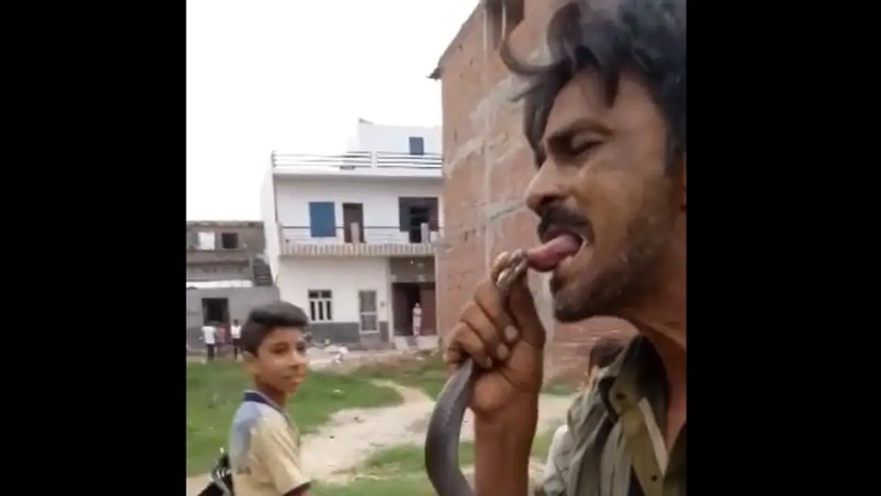 जहरीले नाग से खिलवाड़ पड़ा भारी