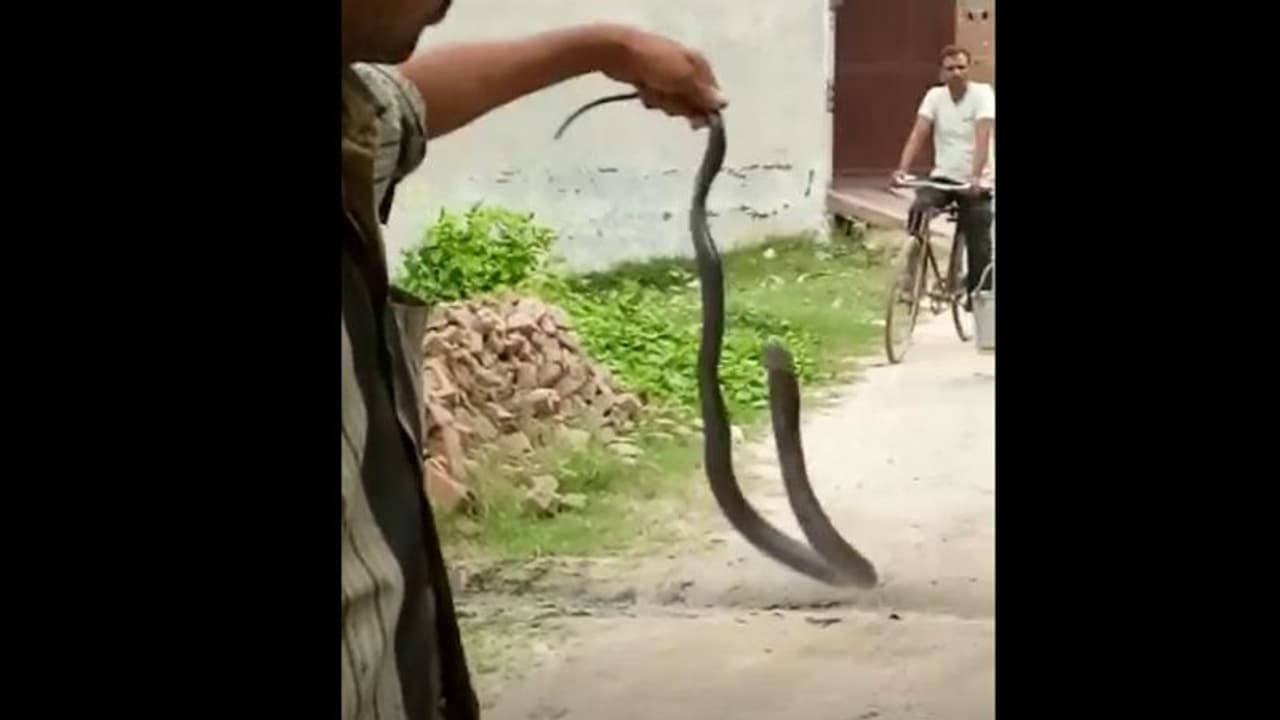 స్టేషన్ లో దూరిన పాము.. నాగస్వరం ఊదిన పోలీసులు