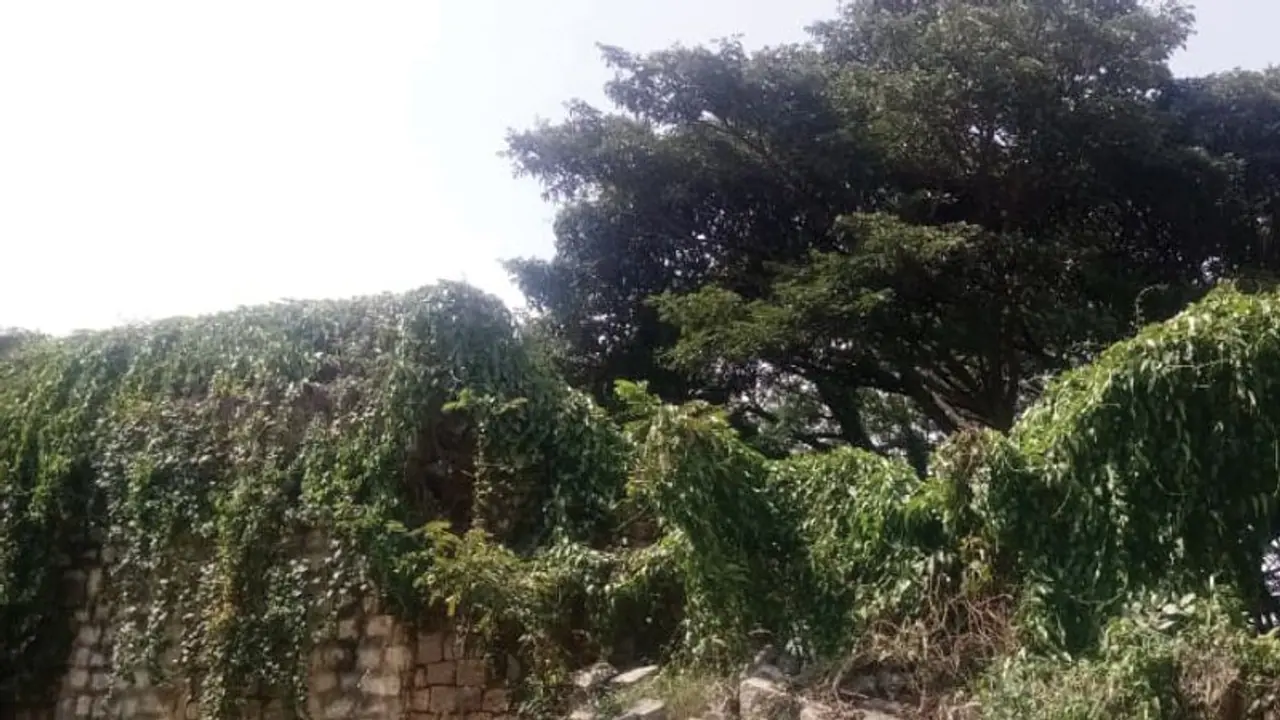 ಶ್ರೀ ರಂಗಪಟ್ಟಣ : ಅವಸಾನದ ಅಂಚಿಗೆ ಐತಿಹಾಸಿಕ ಕೋಟೆ