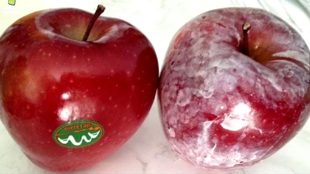 केंद्रीय खाद्य मंत्री के घर पहुंचा जहरीला सेब, इस चक्कर में चल रहा है खतरनाक खेल केंद्रीय खाद्य मंत्री के घर पहुंचा जहरीला सेब, इस चक्कर में चल रहा है खतरनाक खेल