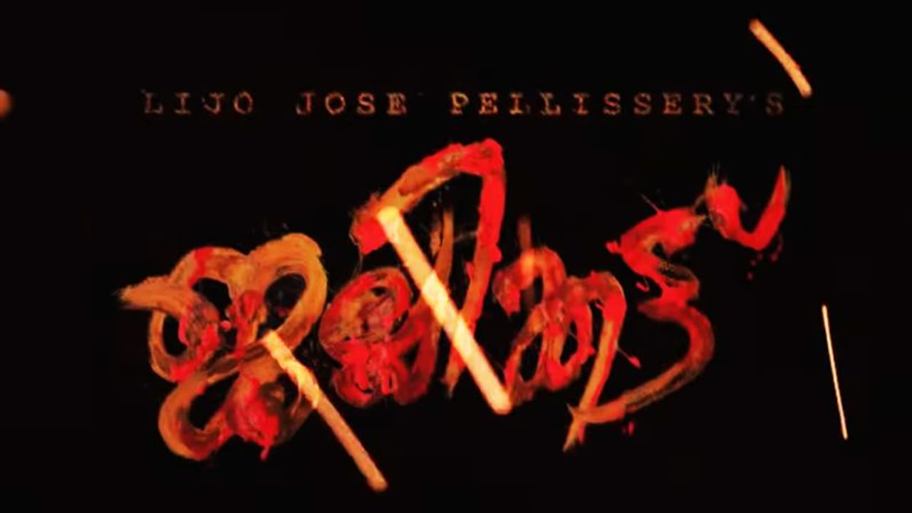 സ്ക്രീനിലെ അത്ഭുതത്തിന് കാത്തിരിക്കാം; ലിജോയുടെ 'ജല്ലിക്കട്ട്' ടീസര് സ്ക്രീനിലെ അത്ഭുതത്തിന് കാത്തിരിക്കാം; ലിജോയുടെ 'ജല്ലിക്കട്ട്' ടീസര്