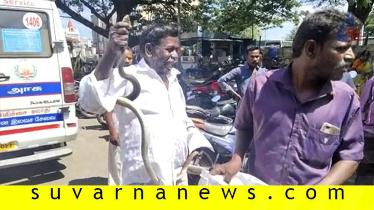 ಹಾವು ಕಚ್ಚಿದರೂ ಸೆರೆ ಹಿಡಿದು ಮಕ್ಕಳನ್ನು ಕಾಪಾಡಿದ ಅರ್ಚಕ! ಹಾವು ಕಚ್ಚಿದರೂ ಸೆರೆ ಹಿಡಿದು ಮಕ್ಕಳನ್ನು ಕಾಪಾಡಿದ ಅರ್ಚಕ!