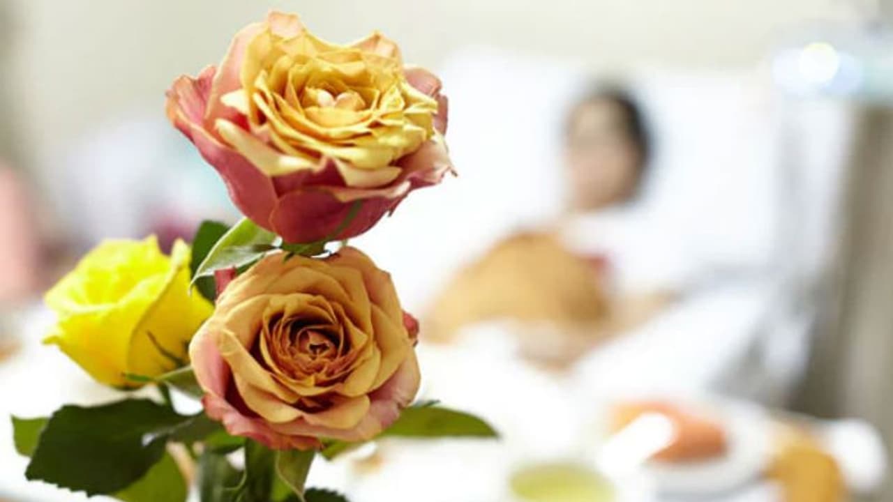 ഇന്ന് റോസാപ്പൂക്കളുടെ ദിനമായിരുന്നു; ആര്‍ക്ക് വേണ്ടിയാണിതെന്ന് അറിയാമോ?