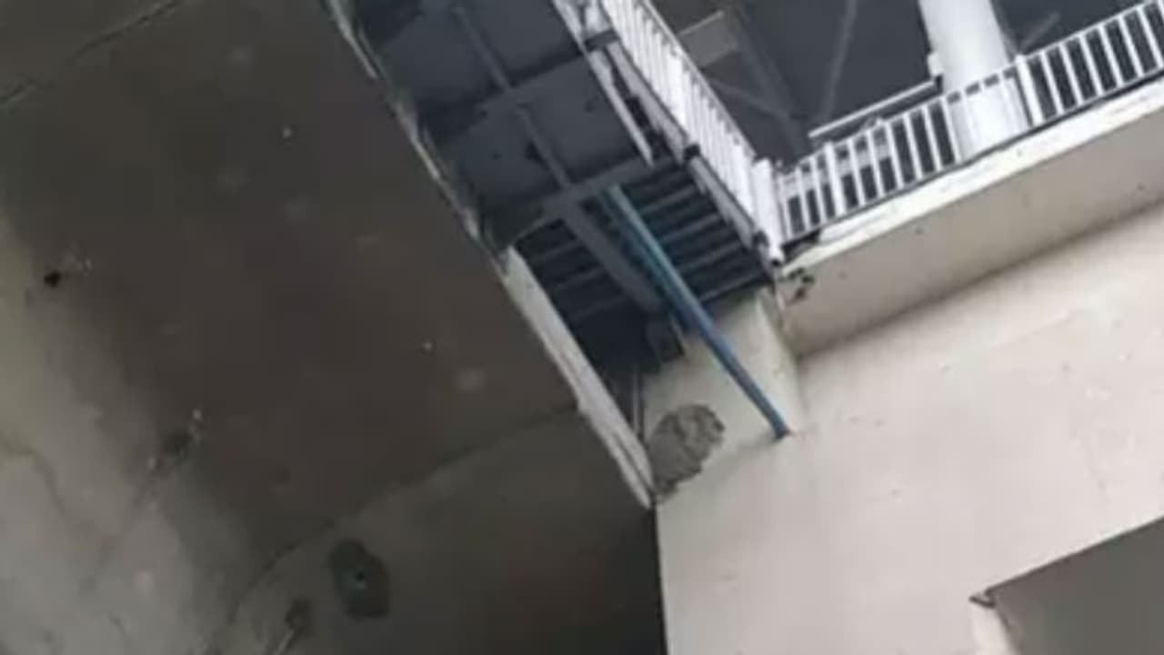 മെട്രോ റെയിലിൽ നിന്ന് കോണ്ക്രീറ്റ് പാളി വീണു; യുവതി മരിച്ചു മെട്രോ റെയിലിൽ നിന്ന് കോണ്ക്രീറ്റ് പാളി വീണു; യുവതി മരിച്ചു