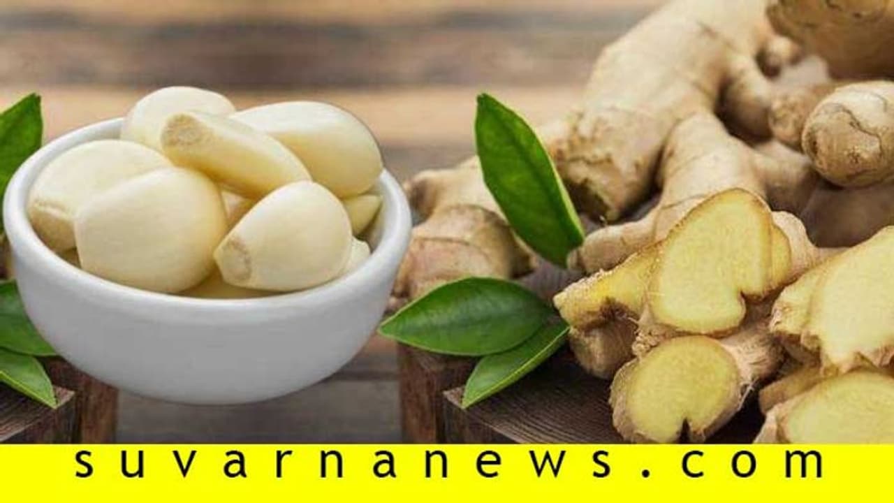 ಗ್ಯಾಸ್ಟ್ರಿಕ್ಗೆ ಶುಂಠಿ ಬೆಳ್ಳುಳ್ಳಿ ಬೆಸ್ಟ್ ಮೆಡಿಸಿನ್ ಗ್ಯಾಸ್ಟ್ರಿಕ್ಗೆ ಶುಂಠಿ ಬೆಳ್ಳುಳ್ಳಿ ಬೆಸ್ಟ್ ಮೆಡಿಸಿನ್