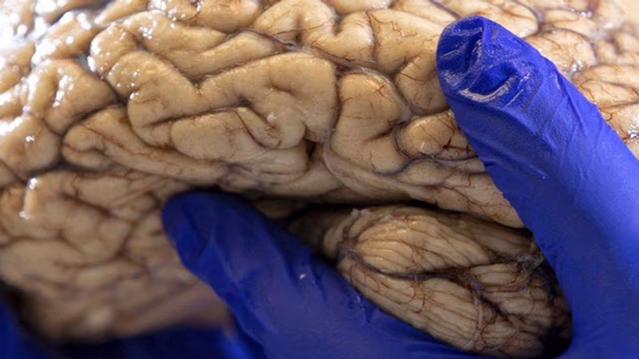 शख्स ने फाड़ा मां का ब्लाउज तो...