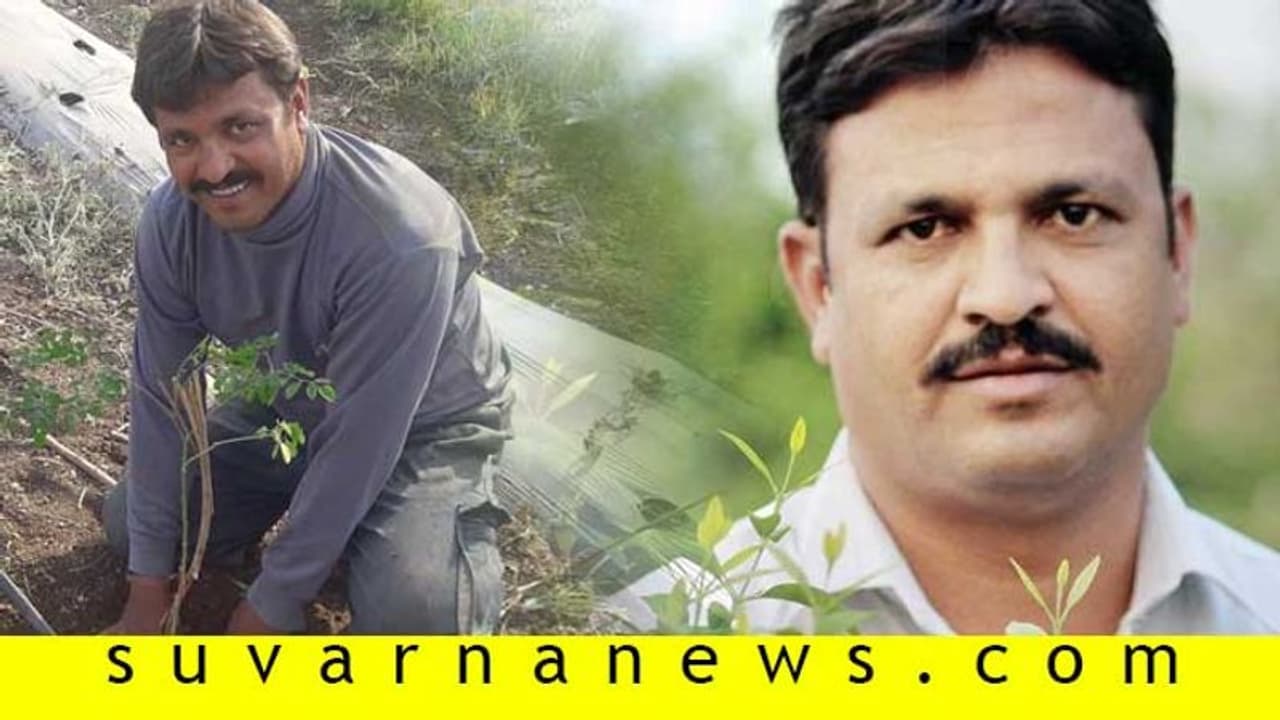 ಅರಣ್ಯ ಕೃಷಿ ಮಾಡಿ ಲಕ್ಷ ಲಕ್ಷ ಗಳಿಸಿದ ಲಕ್ಷೀಕಾಂತ! ಅರಣ್ಯ ಕೃಷಿ ಮಾಡಿ ಲಕ್ಷ ಲಕ್ಷ ಗಳಿಸಿದ ಲಕ್ಷೀಕಾಂತ!