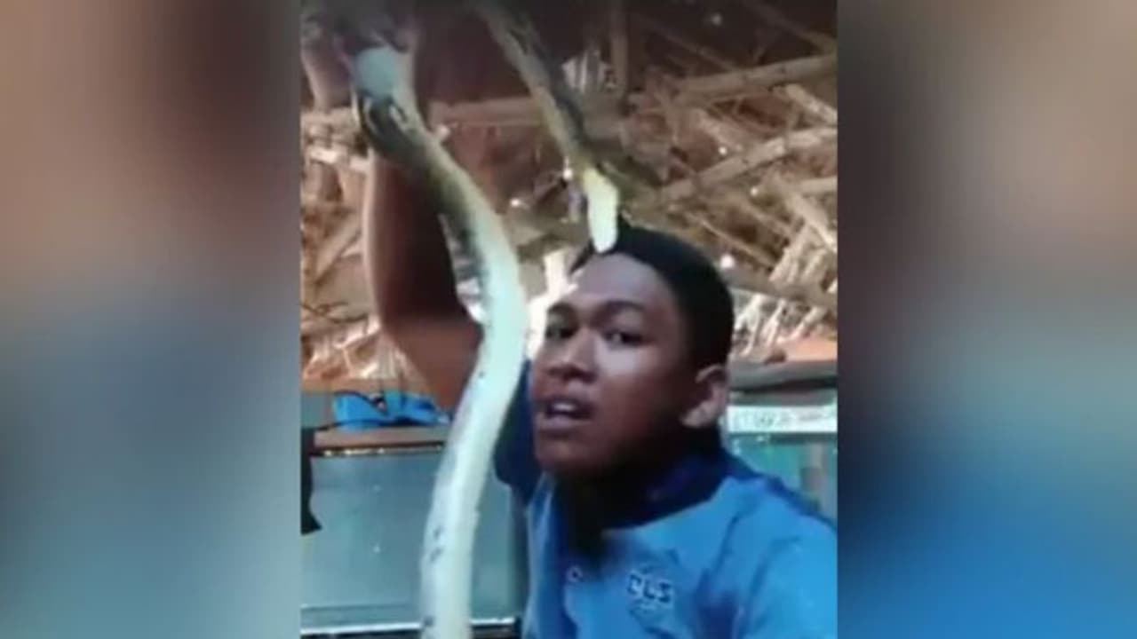 'വൈറല്' ആകാന് ആവേശം കൊണ്ടതാണ്; ഒടുവില് എട്ടിന്റെ പണി വാങ്ങി 'വൈറല്' ആകാന് ആവേശം കൊണ്ടതാണ്; ഒടുവില് എട്ടിന്റെ പണി വാങ്ങി