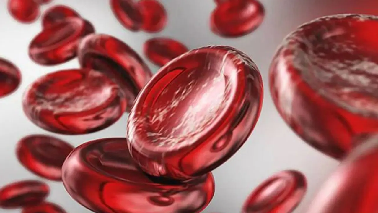 Foods to Increase Hemoglobin : രക്തത്തിലെ ഹീമോഗ്ലോബിന്റെ അളവ് കൂട്ടാൻ സഹായിക്കുന്ന 6 ഭക്ഷണങ്ങൾ