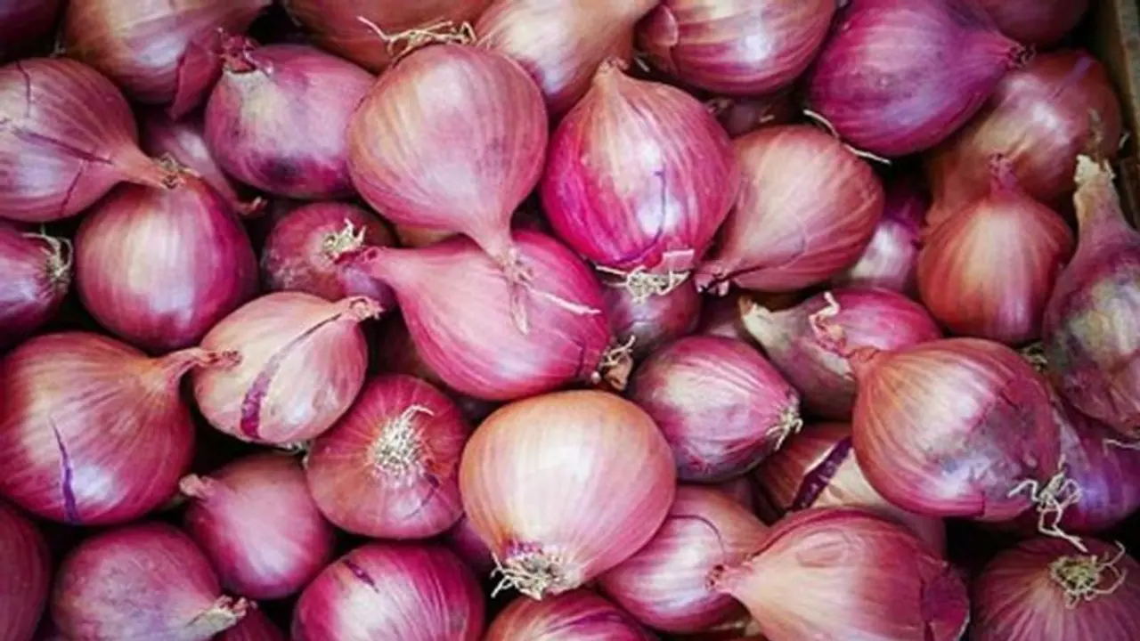 Centre prohibits export of all varieties of onions with immediate effect