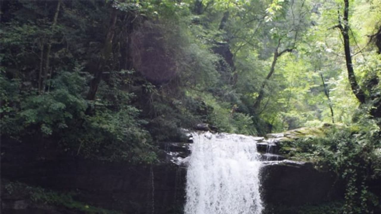 झरनों के लिए मशहूर इस जगह पर सूख गए 45 झरने, सरकार ने कहा फिर से जिंदा करेंगे