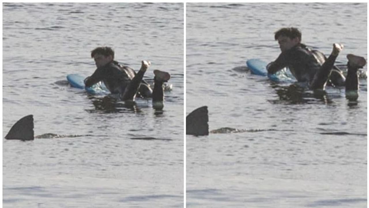 കൂറ്റന് സ്രാവിന് മുമ്പില് നിന്ന് തലനാരിഴയ്ക്ക് രക്ഷപ്പെട്ട് യുവാവ്; അപൂര്വ്വ ഫോട്ടോ വൈറല് കൂറ്റന് സ്രാവിന് മുമ്പില് നിന്ന് തലനാരിഴയ്ക്ക് രക്ഷപ്പെട്ട് യുവാവ്; അപൂര്വ്വ ഫോട്ടോ വൈറല്