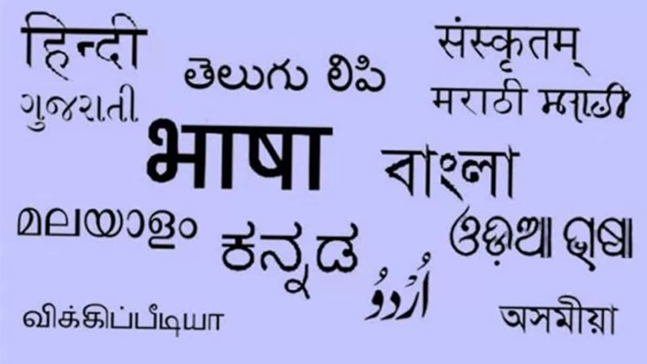 ഇംഗ്ലീഷ് അര്ത്ഥമില്ലാത്ത, അശാസ്ത്രീയമായ ഭാഷ; എന്സിബിസി ചെയര്പേഴ്സണ് ഇംഗ്ലീഷ് അര്ത്ഥമില്ലാത്ത, അശാസ്ത്രീയമായ ഭാഷ; എന്സിബിസി ചെയര്പേഴ്സണ്
