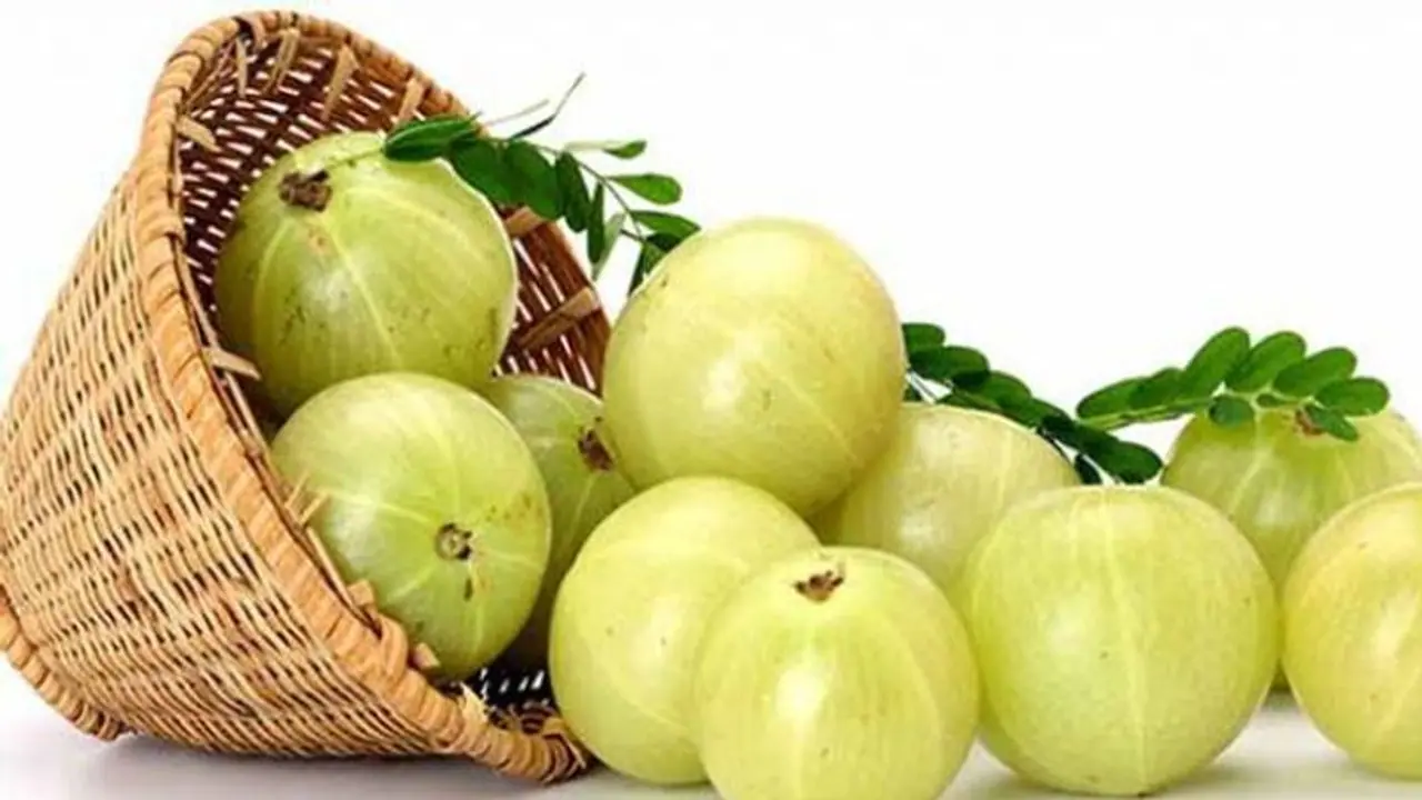 आंखों के लिए बेहद फायदेमंद है आंवला, जानें और क्या खाएं आंखों के लिए बेहद फायदेमंद है आंवला, जानें और क्या खाएं