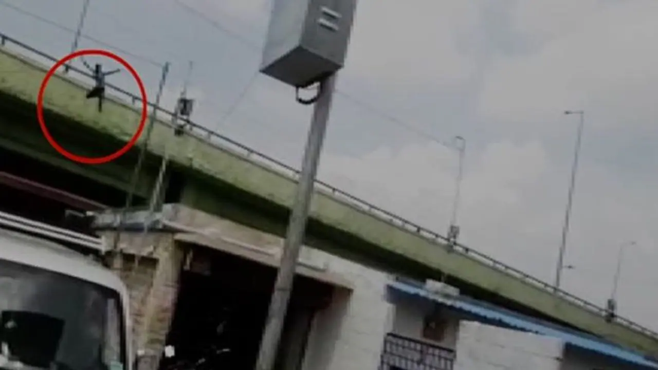 மேம்பாலத்தில் இருந்து குதித்த இளைஞர்... அதிஷ்டவசமாக உயிர் தப்பிய அதிசயம்..!